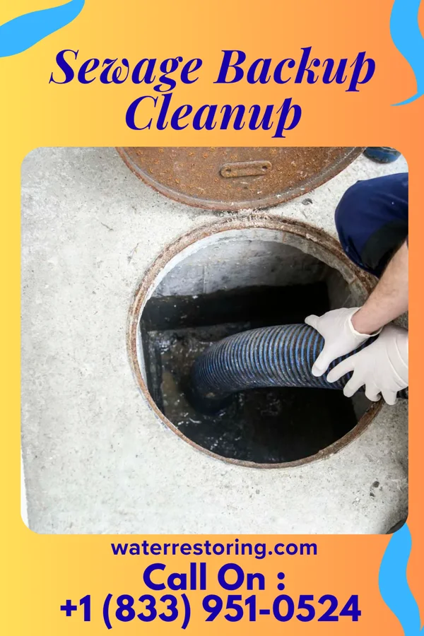 Sewage Backup Cleanup in Tumalo, OR